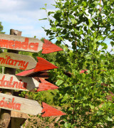 Przyjedź do GościRAJU!