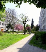 Kwiecień 2026 na osiedlu Piastowskim