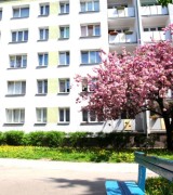 Marzec 2026 na osiedlu Piastowskim