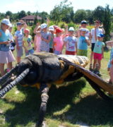 Poznaj programy szczegółowe Akcji Lato 2019 [AKTUALIZACJA]