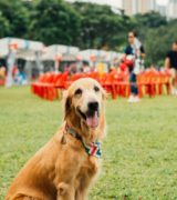 Zmiany w programie Ratajskiej Dziesiątki Kulturalnej!