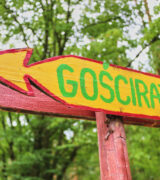 Gościraj na wyciągnięcie ręki