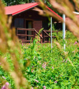 Jeśli wakacje to Gościraj!