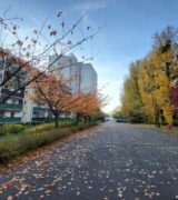 Sierpień 2025 na osiedlach Jagiellońskim, Oświecenia i Powstań Narodowych