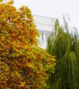 Najważniejsze decyzje Zarządu: wrzesień – październik 2025 r.