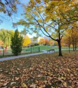 Wrzesień 2025 na osiedlach Jagiellońskim, Oświecenia i Powstań Narodowych