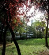 Wrzesień 2025 na osiedlach Armii Krajowej, Bohaterów II Wojny Światowej i Rzeczypospolitej