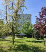 Wrzesień 2025 na osiedlach Lecha i Czecha