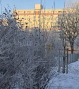 Podsumowanie roku 2025 – część I