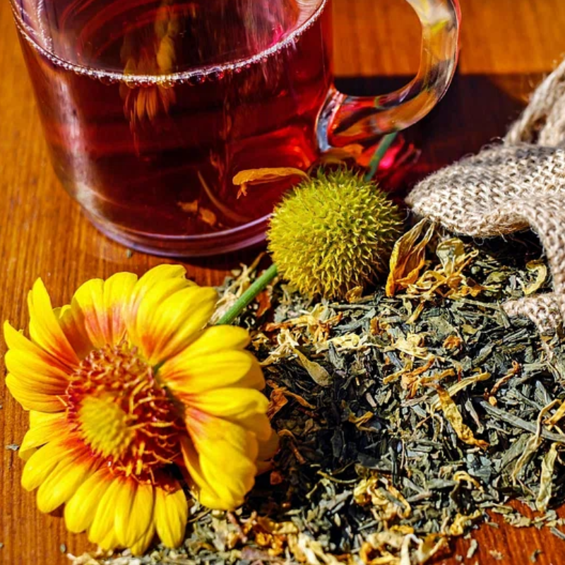 Warsztaty herbaciane