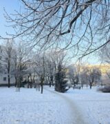 Podsumowanie roku 2025 – część II