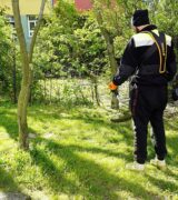 Koszenie traw na spółdzielczych terenach