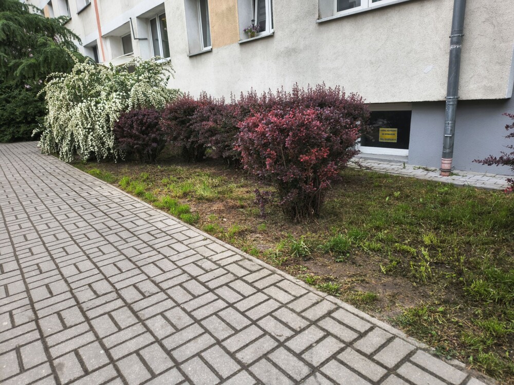 Lokal użytkowy